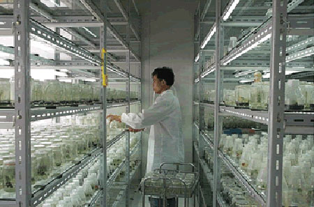 菌种瓶-保健品批发定制