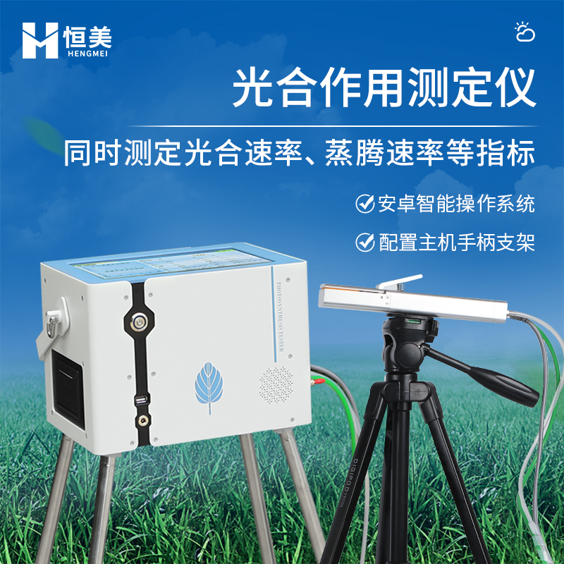 光合作用测定仪 光合作用测量系统 操作简单 源头厂家