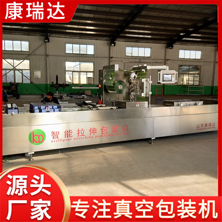 牛肉干拉伸膜真空包装机定制