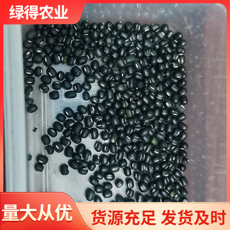 黑绿豆库存充足