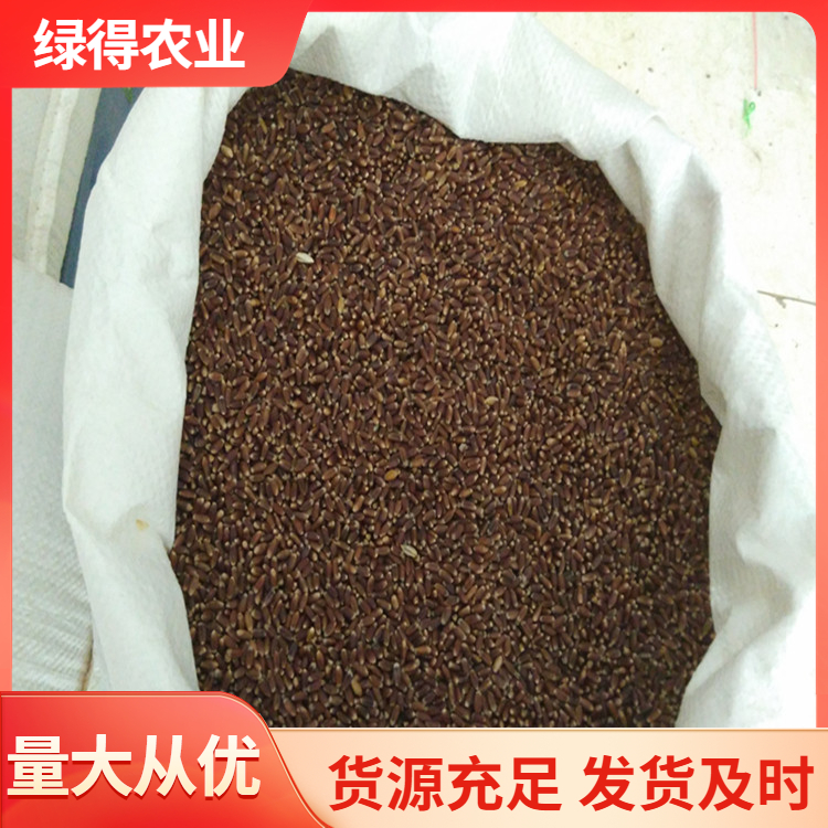 黑小麦服务电话