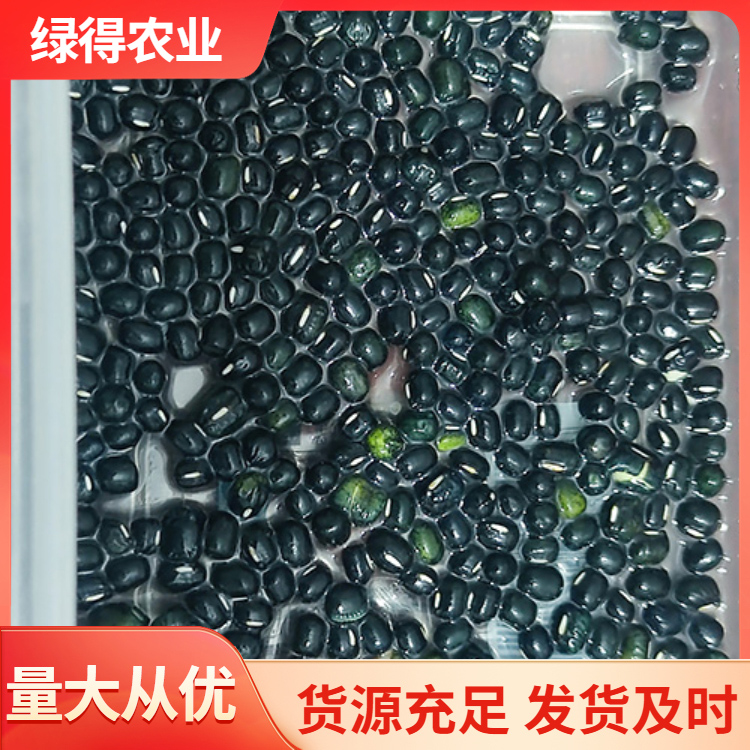 黑绿豆种子选材严格