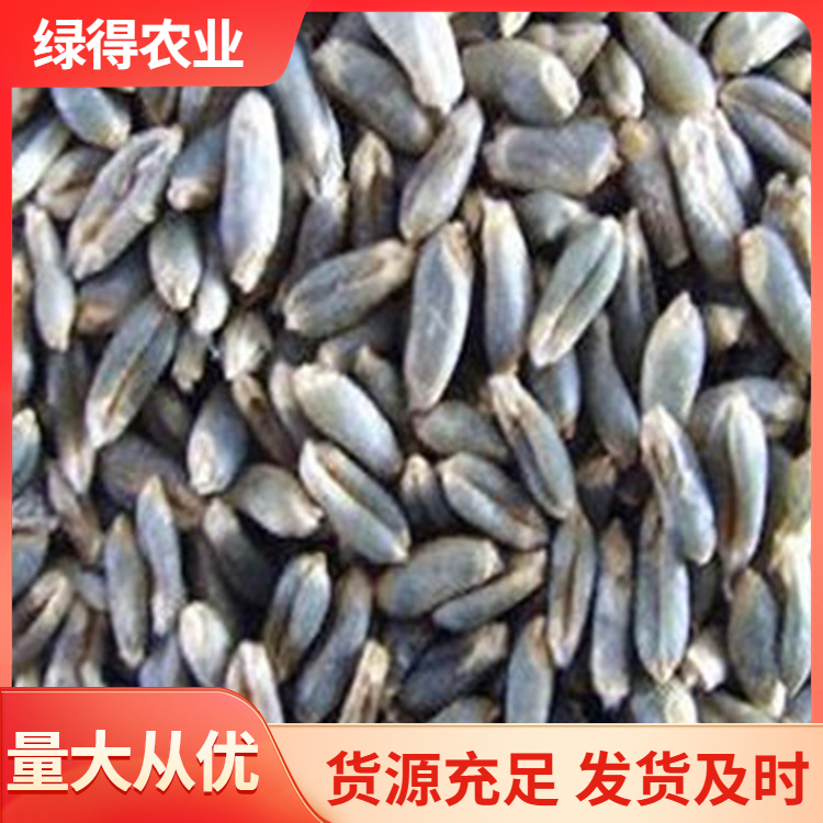 绿小麦种电话