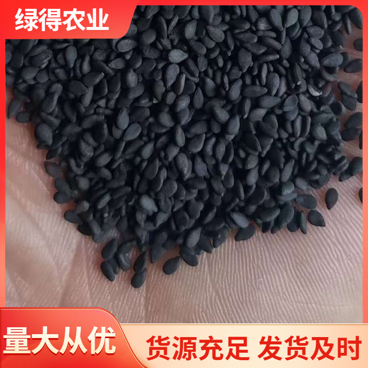 黑芝麻选材严格