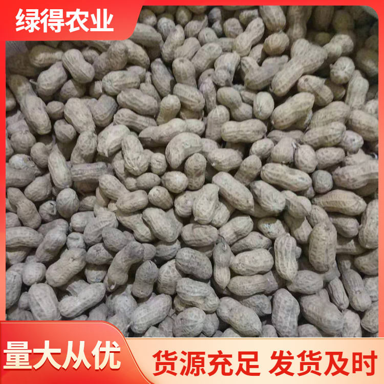黑花生种子产地货源