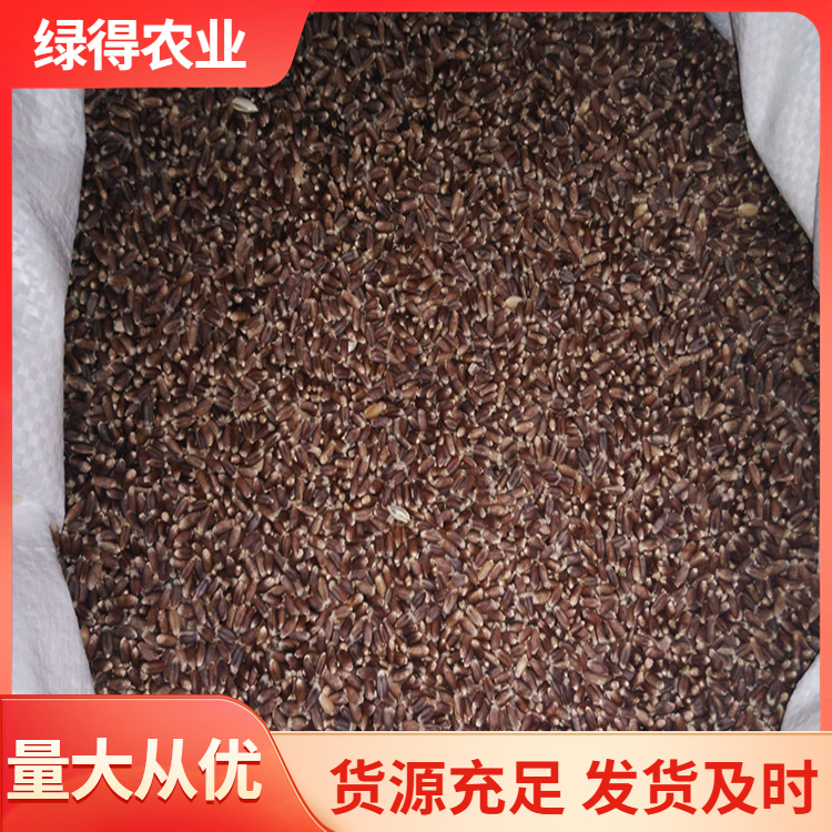 黑小麦品质原材