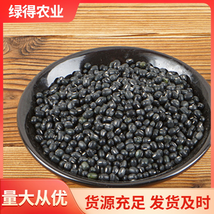黑绿豆种电话