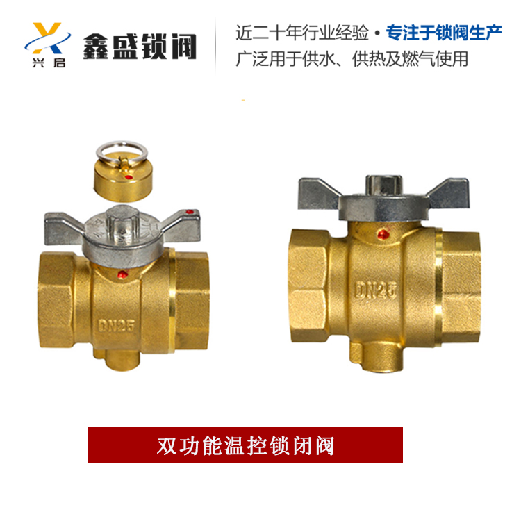 厂家供应各种阀门 管道锁闭阀 燃气自闭阀