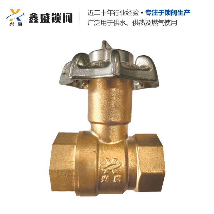 电子锁闭阀  智能锁闭阀 品种齐全 欢迎来点咨询