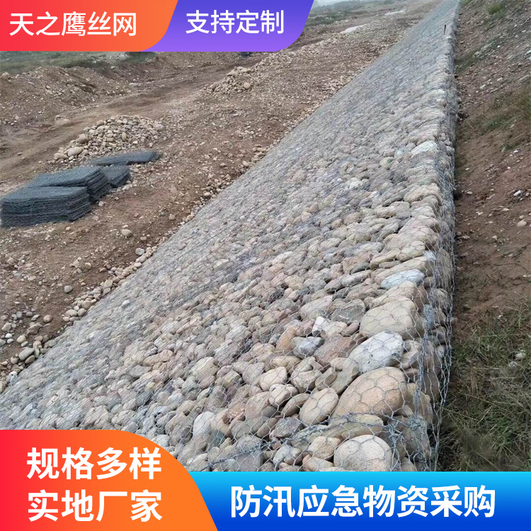 雷诺护垫批发价格