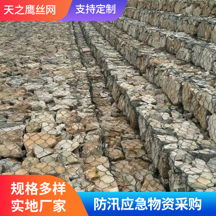 固滨笼型号齐全