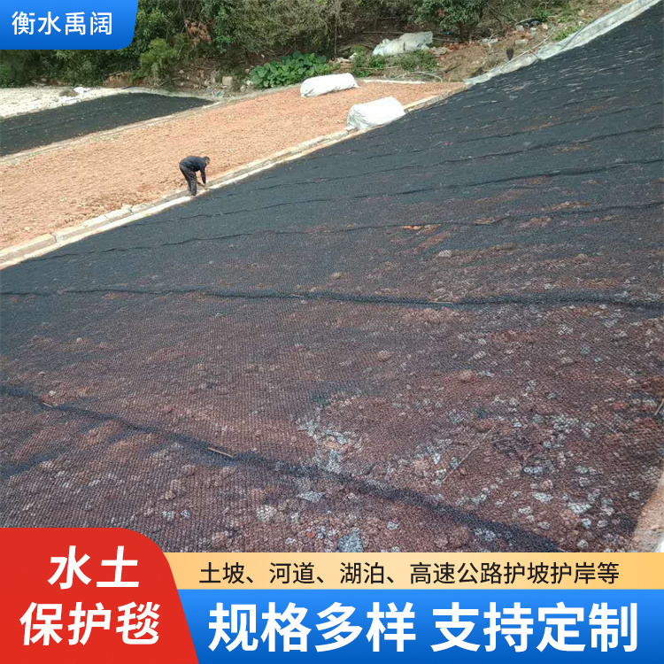 山体修复绿化护坡水土保护毯三维柔性 双凸单凸护坡水土保护垫
