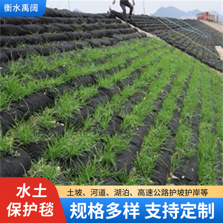 三维水土保护毯河道治理固土绿化生态毯凹凸聚酰胺PA6水土保护毯
