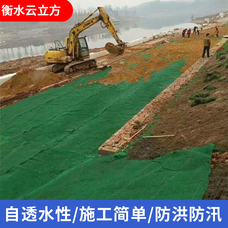 加筋麦克垫 石笼五铰格网网垫 生态护坡固土垫 三维植被网 排水垫