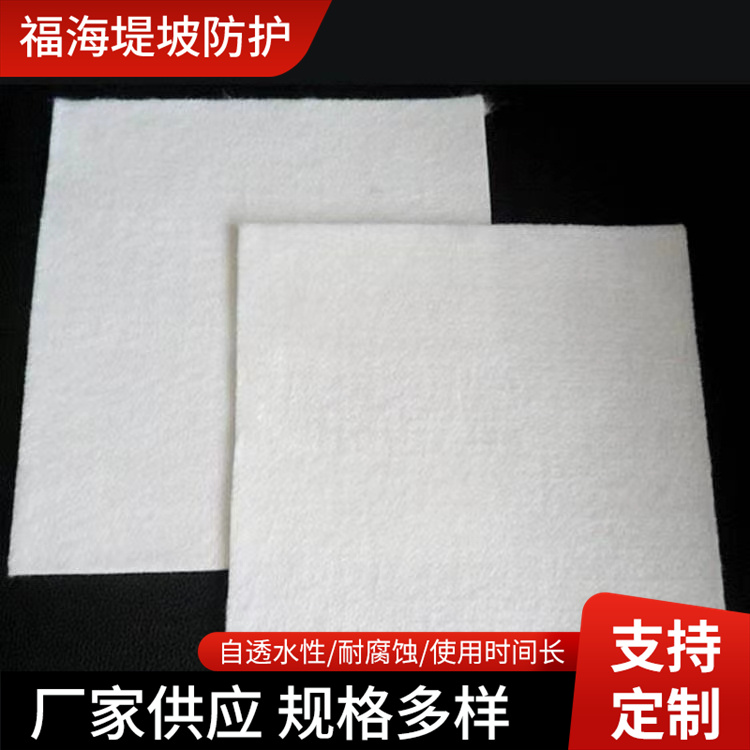 白色聚酯无纺长丝土工布防水工程护坡防渗土工布国标短丝土工布