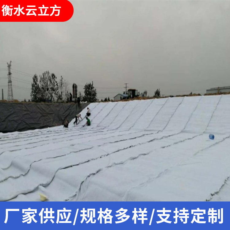 云立方定制W型麦克排水垫 复合排水垫 w型足球场基层垫 聚丙烯基层垫