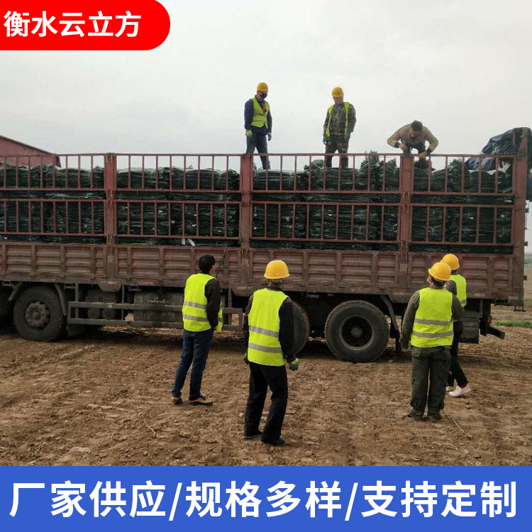 土工固袋 河道护坡生态袋 园林绿化植生袋 边坡治理防汛土工袋山体固土