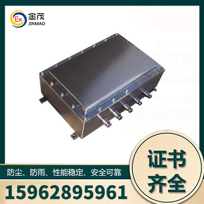 防爆仪表箱产地货源