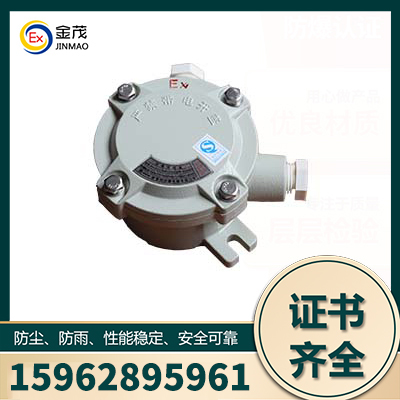 防爆仪表箱厂家直销