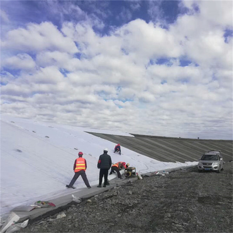 土工布咨询热线