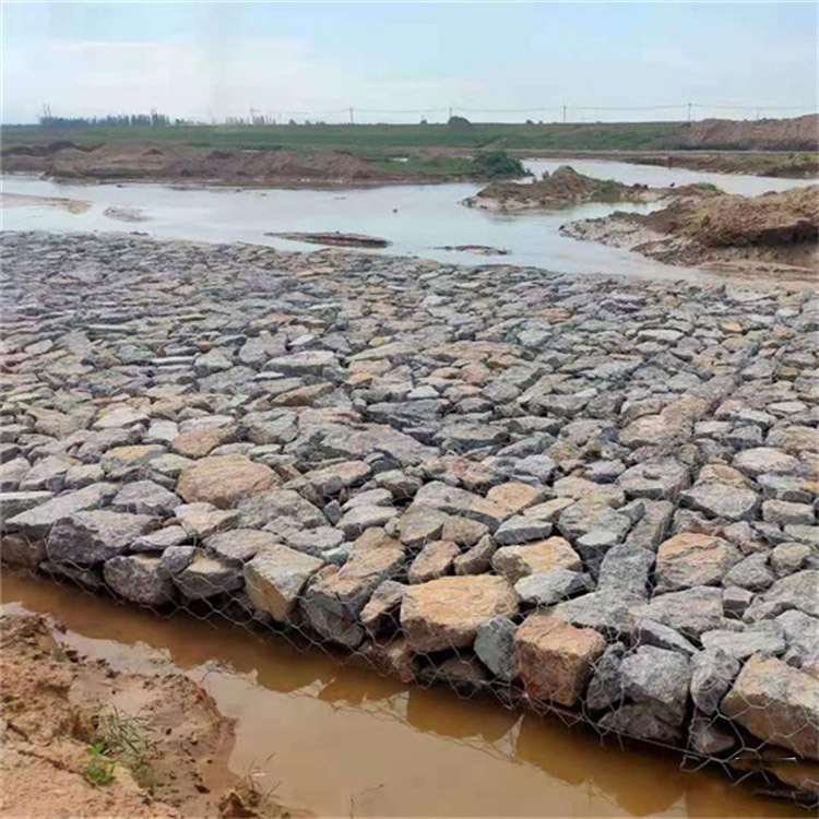 雷诺护垫批发价格