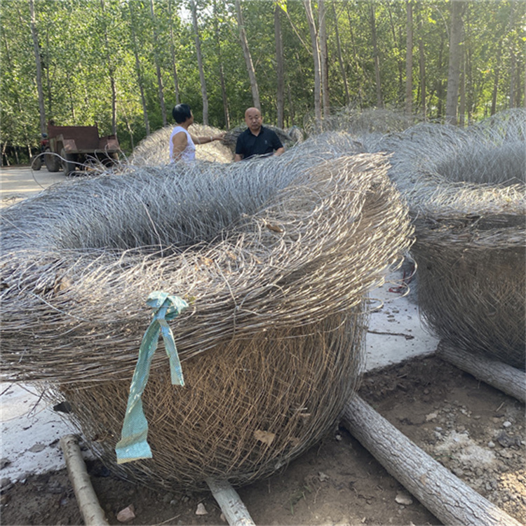 合金钢石兜厂家直销