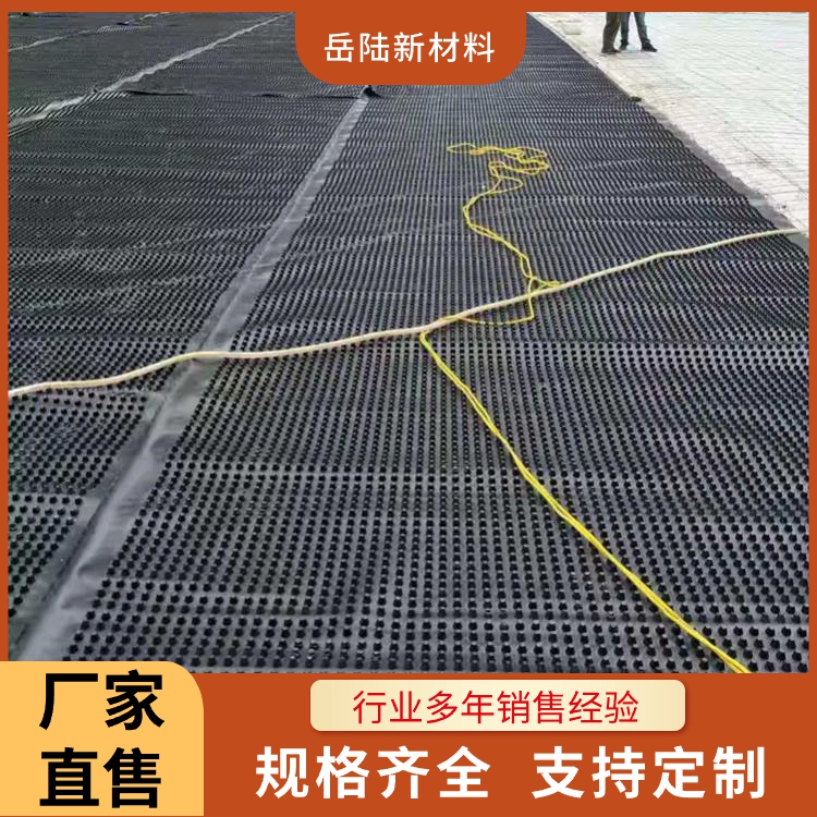 虹吸排水系统品质原材 防护虹吸排水板 hdpe虹吸式雨水收集系统 H20mm高分子排水异型片