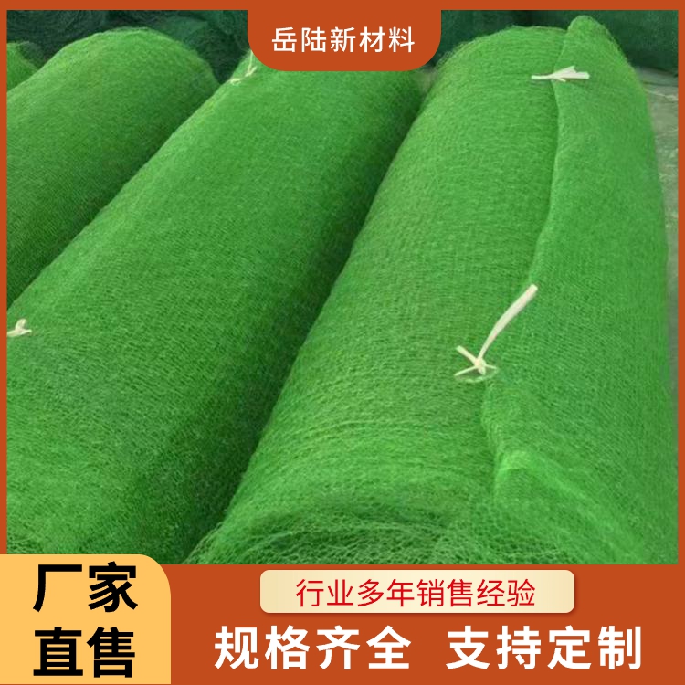 EM3护坡绿化三维植被网 边坡植草高强度生态网垫
