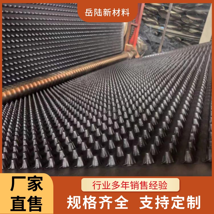 岳陆 供应塑料蓄排水板 疏水板 城市虹吸排水系统厂家