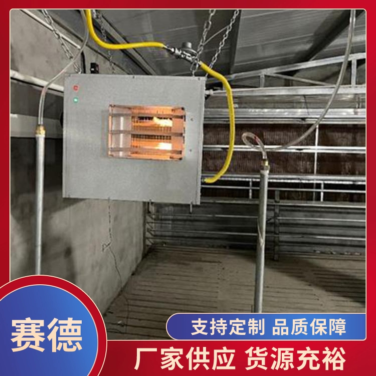 燃气直燃机 促进热风循环 畜牧养殖加温用