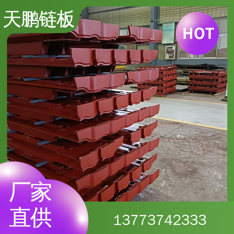 链板图片 天鹏机电制造链板图片