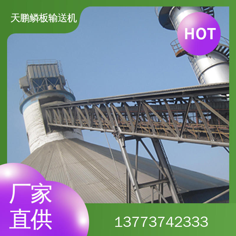 鳞板输送机图片