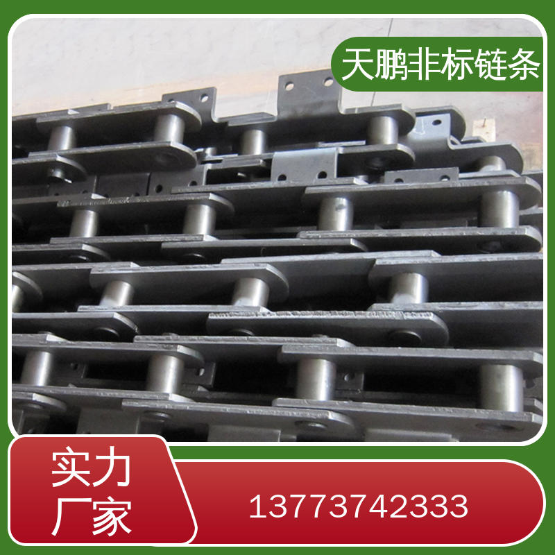 非标链条销售