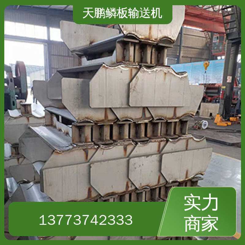 鳞板输送机批发价格