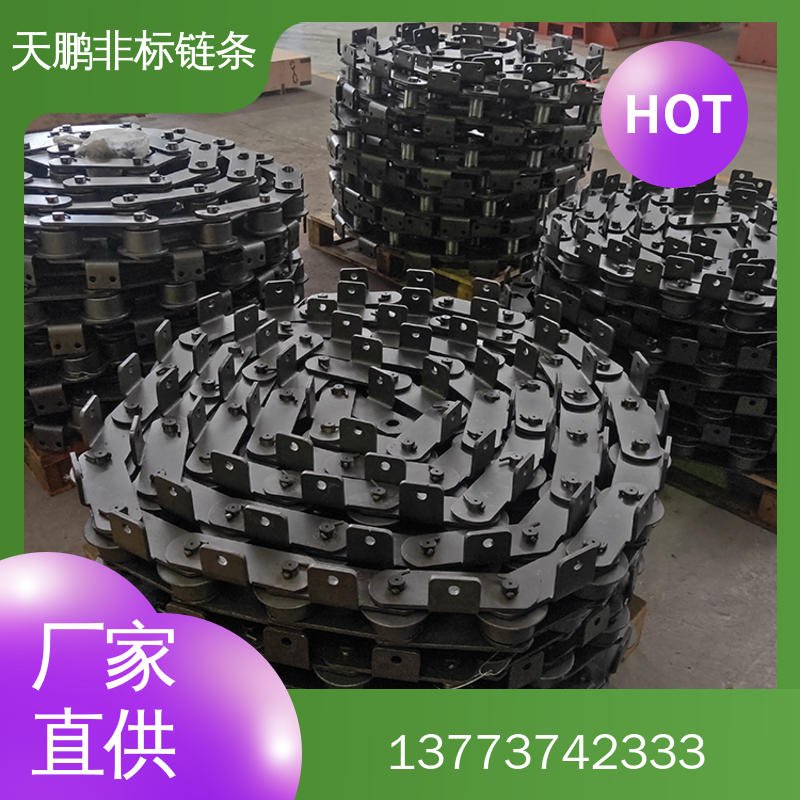 非标链条图片
