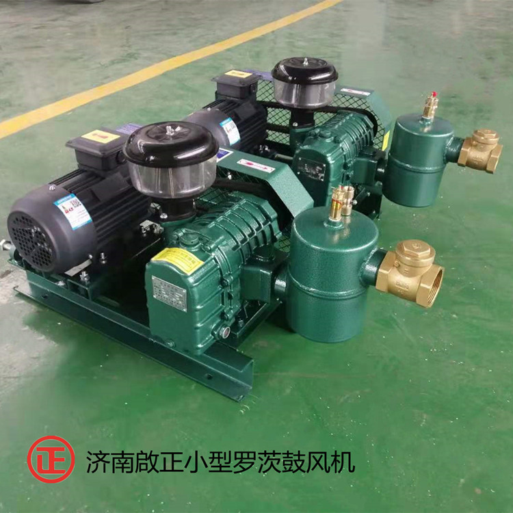 罗茨风机厂家 高压大功率罗茨风机 二叶罗茨风机