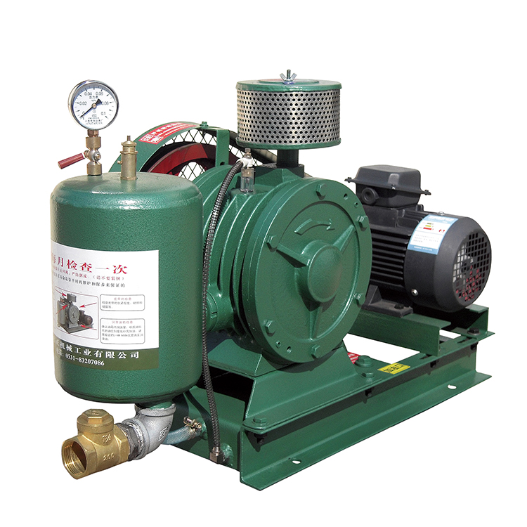 回转鼓风机 低噪声回转式鼓风机 工业用风机厂家