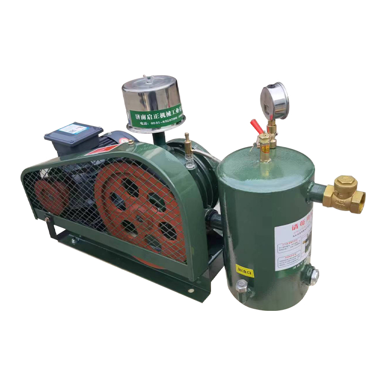 回转式风机 风机实体厂家低噪声回转式鼓风机