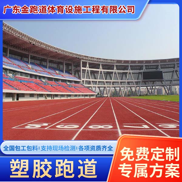 塑胶跑道 包工包料自接纹混合型预制型13mm全塑型透气型