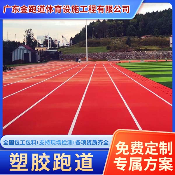 体育场透气型塑胶跑道学校操场塑胶颗粒厂家施工