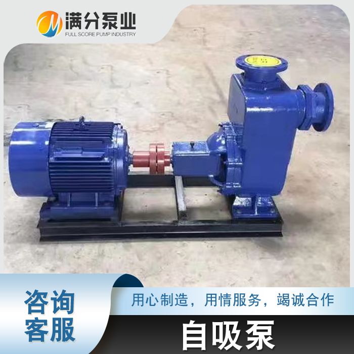 自吸泵厂家