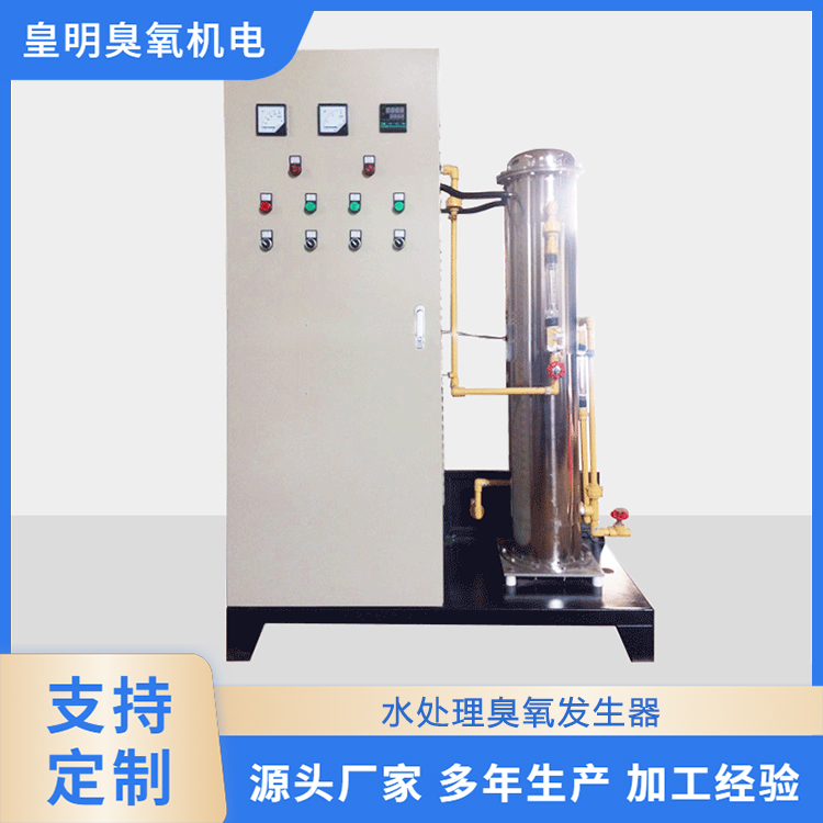 污水处理臭氧发生器 大型臭氧设备制造商