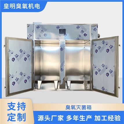 大型臭氧灭菌箱 包装材料臭氧灭菌柜 图书 瓶盖 口罩臭氧设备消解