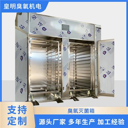大型臭氧灭菌箱 包装材料臭氧灭菌柜  图书  瓶盖  口罩臭氧设备消解