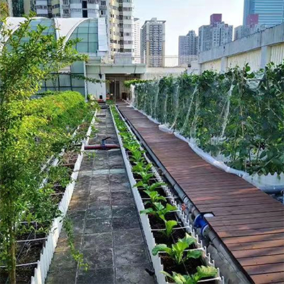 信盈容重0.45-0.8花箱种植土盆栽土土壤疏松透气满足生长所需养分