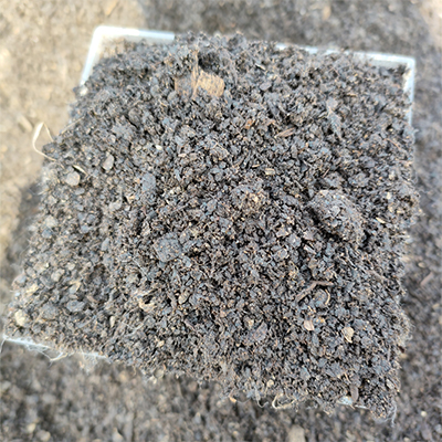 映天青容重0.45-0.8车库种植土家庭种菜土肥效稳定持续抗风能力强