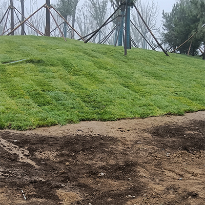 有机营养土种花育苗基质 园艺种植有机肥 保水保肥合成泥炭土