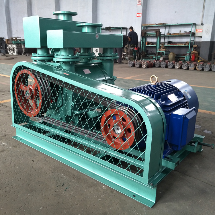 2BE252水环真空泵 2BE1-252/2BEA252水环式真空泵45kw/55KW