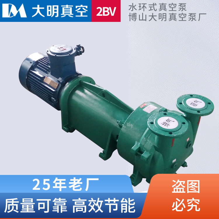 2BV6系列水环式真空泵 直联式2BV6131水环真空泵