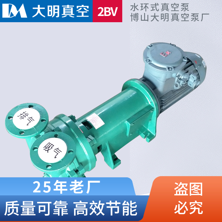 2BV6防爆水环式真空泵2BV6110/2BV6111/2BV6121/2BV6131